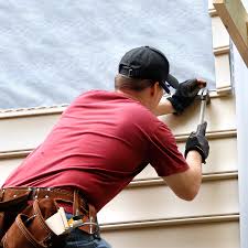 Best Siding Painting and Refinishing  in Schaumburg, IL